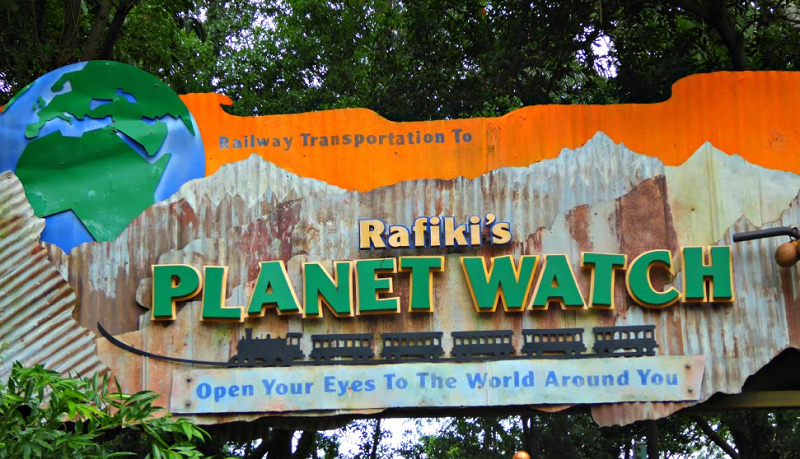 Rumor: Rafiki's Planet Watch at Animal Kingdom to only be open seasonally -  Notes from Neverland