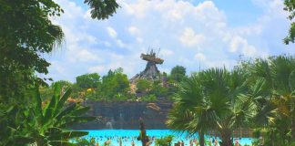 Overview of Disney's Typhoon Lagoon water park.