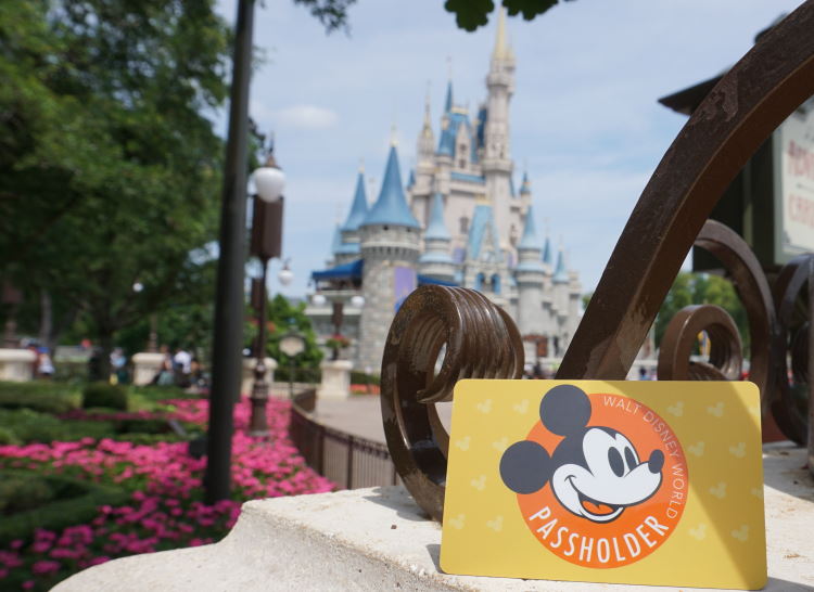 Disney World Annual Passholder Card