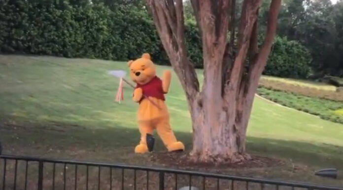 Epcot Winnie the Pooh Character Encounter
