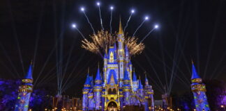 Burst of fireworks over Cinderella Castle