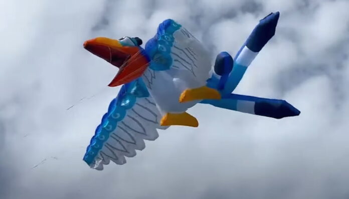 Kite in Disney KiteTails show