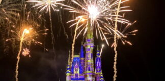 Fireworks in Disney Enchantment