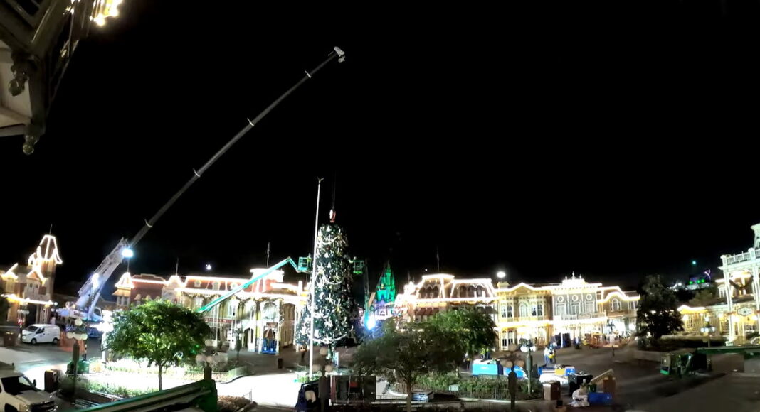 Magic Kingdom changes to Christmas in a night