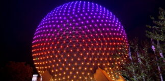 Spaceship Earth at Night