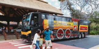 The Sunshine Flyer at Disney's Animal Kingdom Lodge.