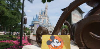 Walt Disney World Annual Pass Card in Front of the Castle.