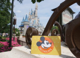 Walt Disney World Annual Pass Card in Front of the Castle.