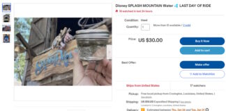 Splash Mountain water listing on eBay.