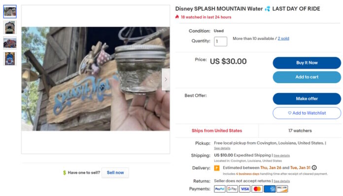 Splash Mountain water listing on eBay.