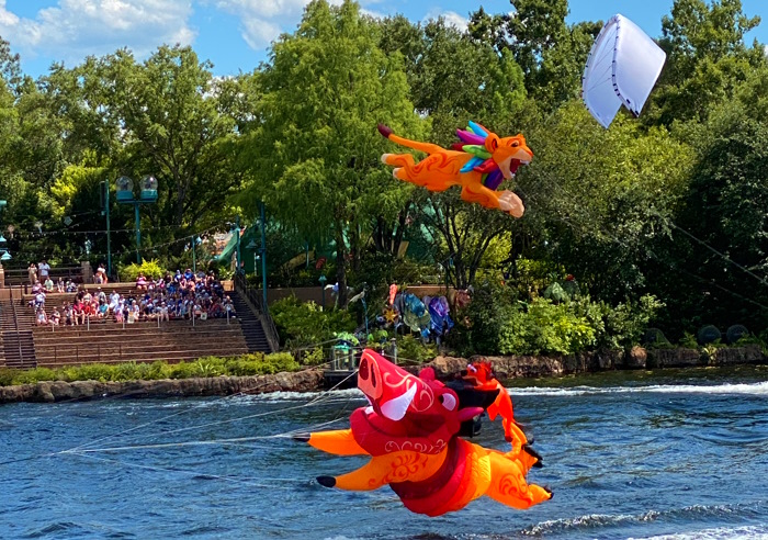 Kites crashing in Disney's KiteTails show.