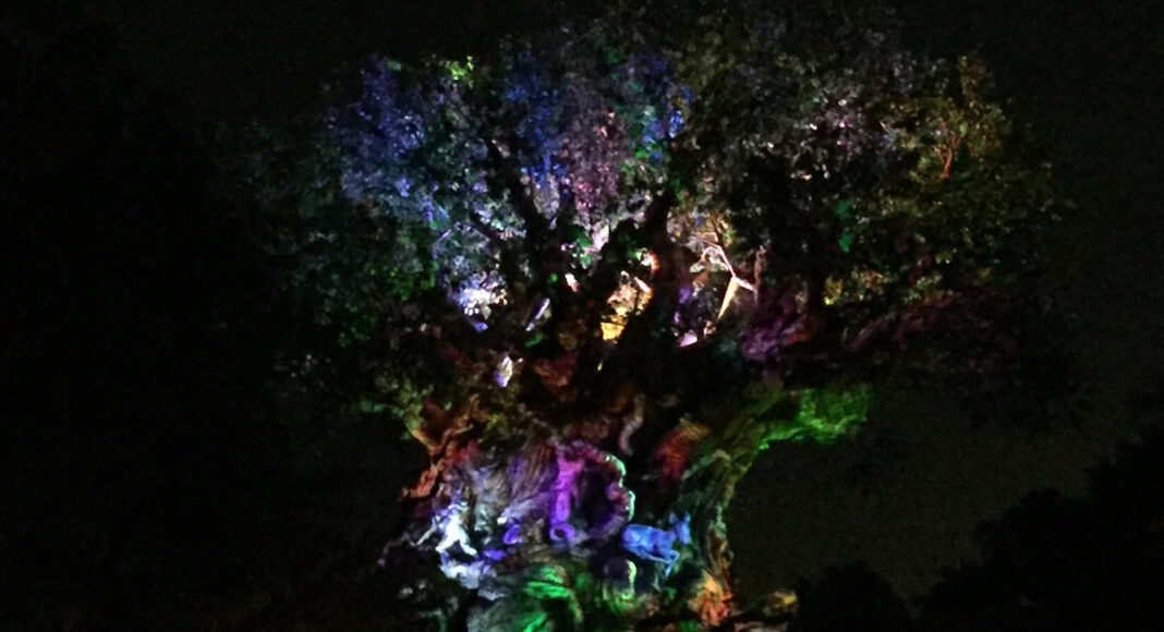 Tree of Life Awakening show at Disney's Animal Kingdom.
