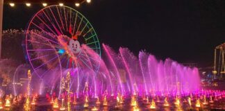 'World of Color - ONE' show at Disney California Adventure.