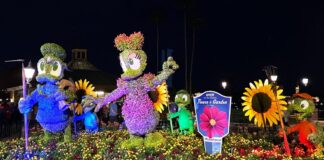 Donald Duck and Daisy Duck topiaries at the EPCOT International Flower & Garden Festival.