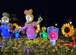 Donald Duck and Daisy Duck topiaries at the EPCOT International Flower & Garden Festival.