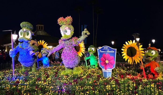 Donald Duck and Daisy Duck topiaries at the EPCOT International Flower & Garden Festival.