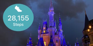 How many steps do you take at Disney World?