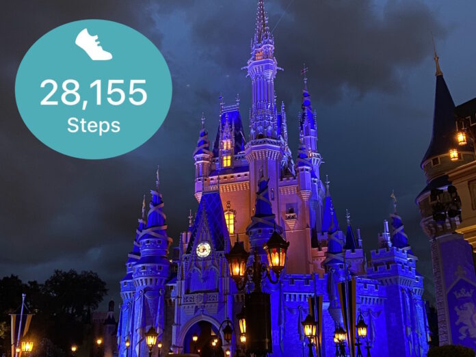 How many steps do you take at Disney World?