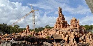 Crane in place behind Big Thunder Mountain Railroad.