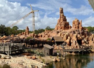 Crane in place behind Big Thunder Mountain Railroad.