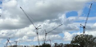 Cranes working on Disney Lakeshore Lodge project.