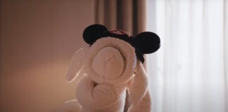 Towel animal comes to life in Disney Cruise Line commercial.