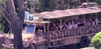 A broken down truck at Kilimanjaro Safaris.