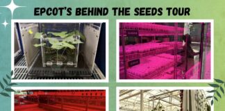 Collage of pictures from the Behind the Seeds tour at EPCOT.