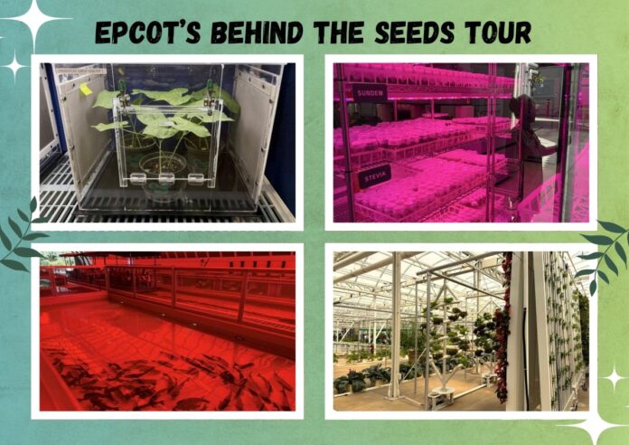 Collage of pictures from the Behind the Seeds tour at EPCOT.
