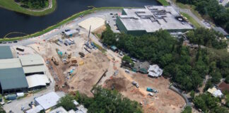 Aerial view of land clearing for the Tropical Americas land.