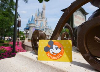 Annual pass card in front of Cinderella Castle.