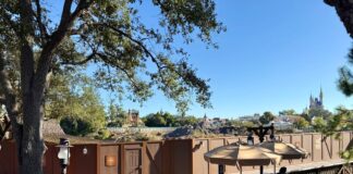 Piston Peak Prep: Trees Removed from Tom Sawyer Island at Magic Kingdom Overview of tree removal on Tom Sawyer Island.
