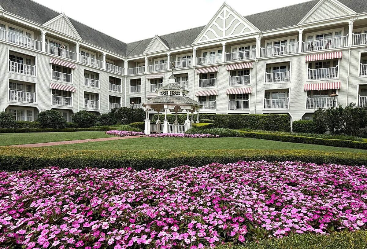 Pink flowers outside Disney's Yacht Club resort.