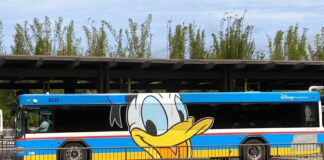 Disney Springs Ends Popular Transportation Hack for Non-Resort Guests Disney bus with Donald Duck character art.