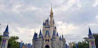 What Happened When We Ended Up in the ER at Disney World