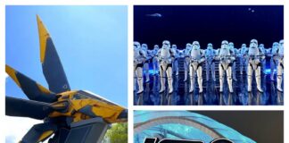 5 Rides Worth Waiting for in Disney World Collage of rides worth waiting for at Disney World.